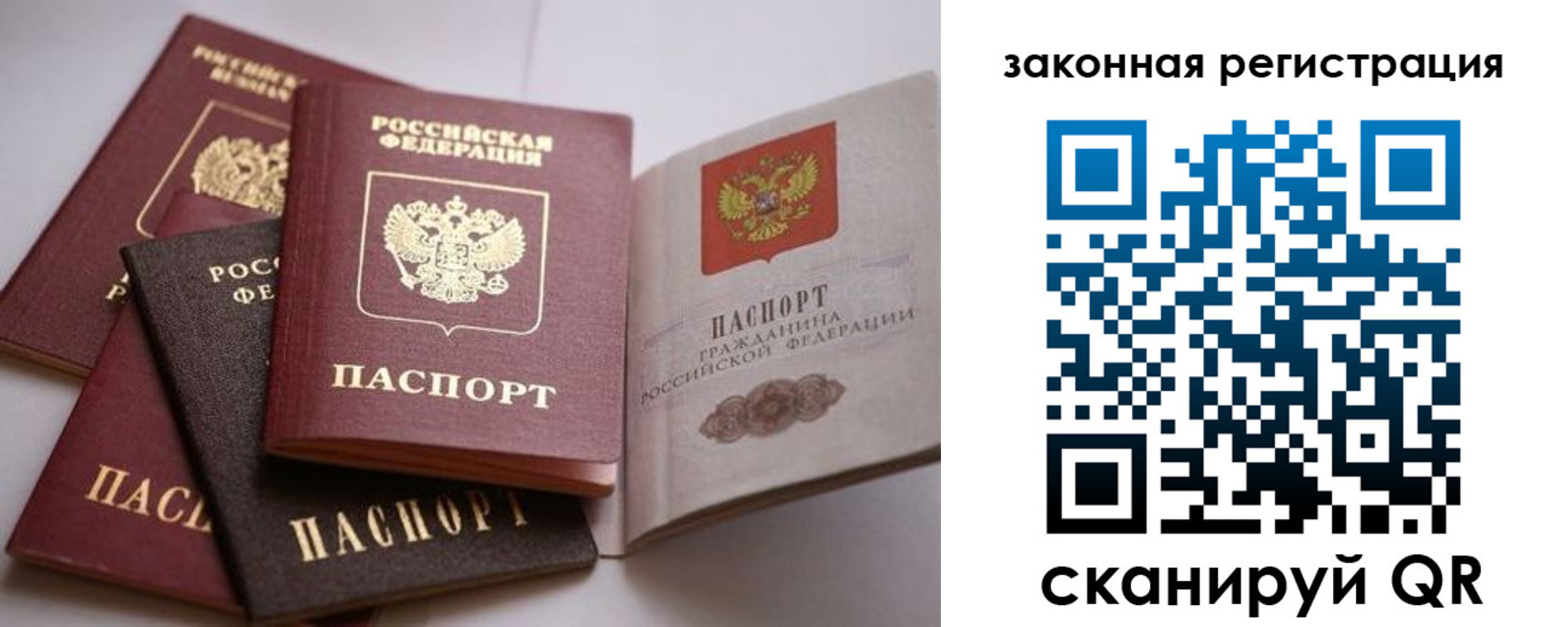 регистрация в Александровске